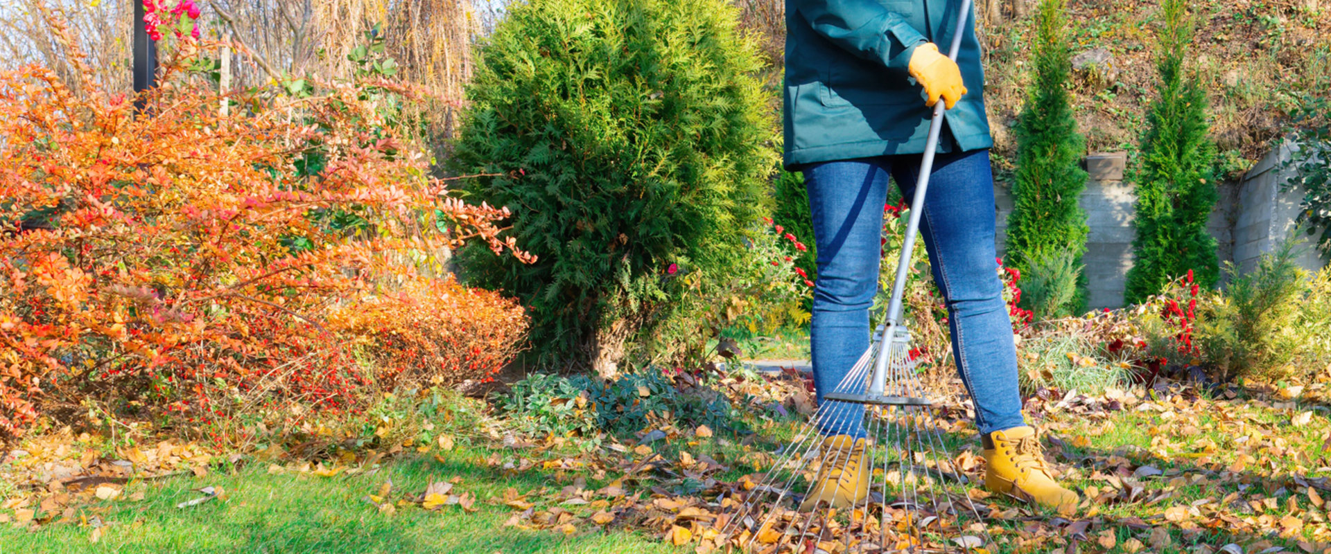 Comprehensive Guide to Disposing of Hazardous Materials in Lansing, Michigan