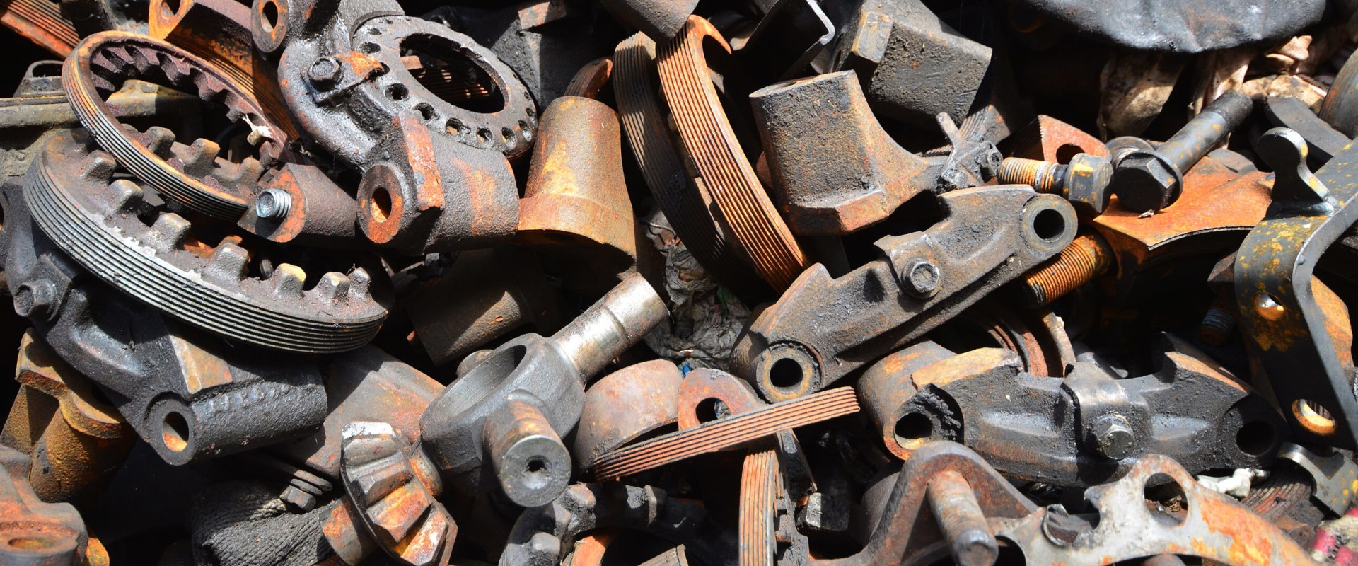 The Ultimate Guide to Recycling Programs in Lansing, Michigan