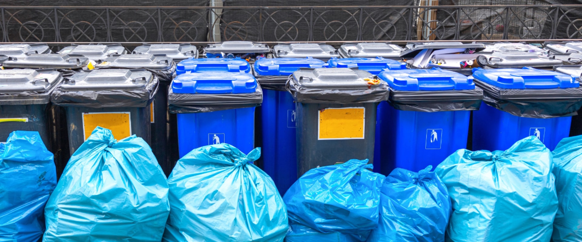 Expanding Recycling Programs in Lansing, Michigan: Current Initiatives and Future Prospects